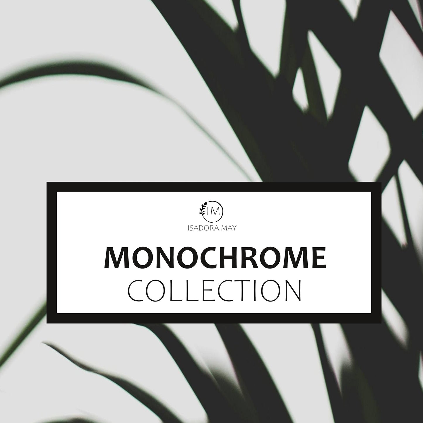 Monochrome Collection - 2x Petite Pots with Refills